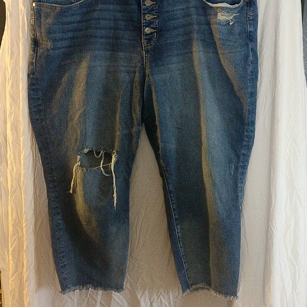 Torrid  Jeans